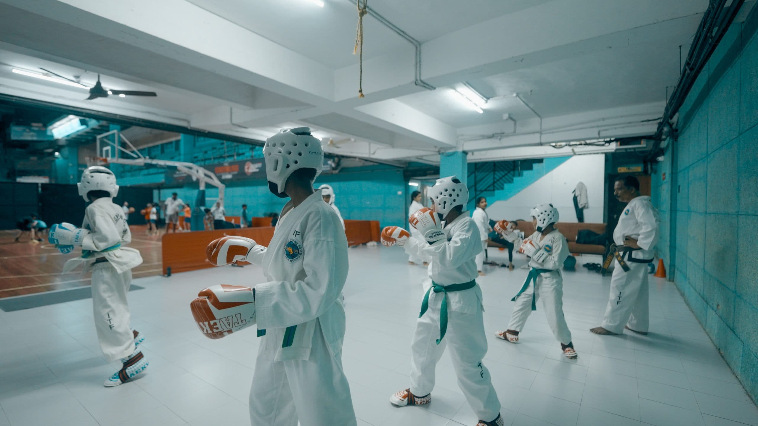 Taekwondo - Image 1