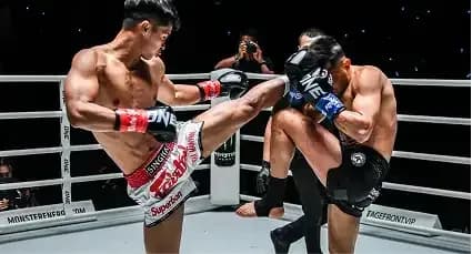 Kick Boxing - Image 1