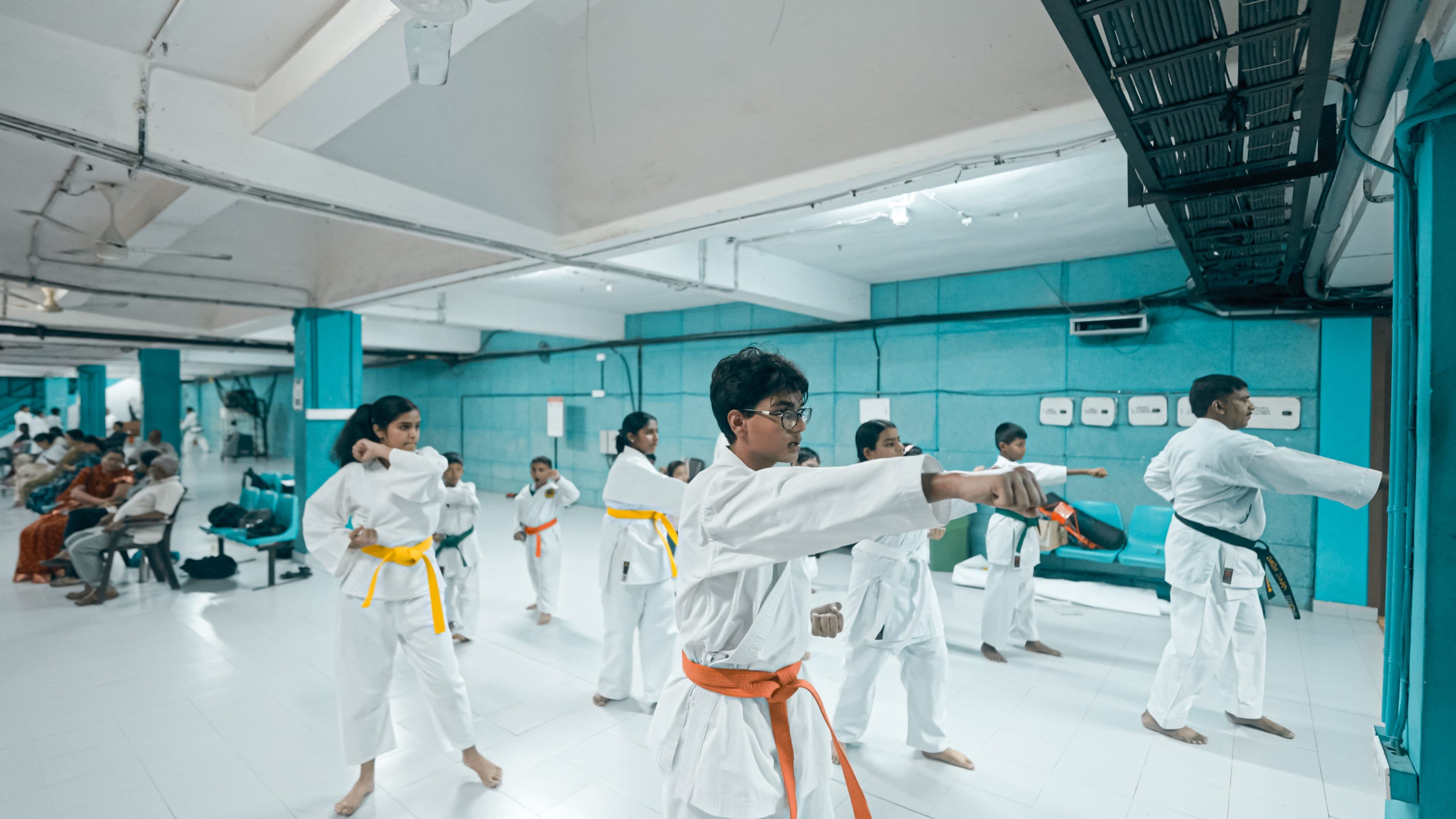 Karate - Image 1